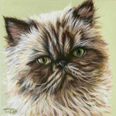 «Persian Cat II» par Carolee Vitaletti - impression sur toile tendue