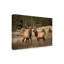 «Elk Study IV» par David Drost - reproduction de photo sur toile-1637172831