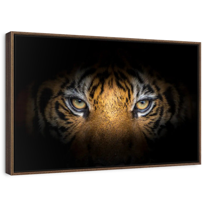 Tigre féroce, 46 po x 31 po, Cadre flottant en noyer