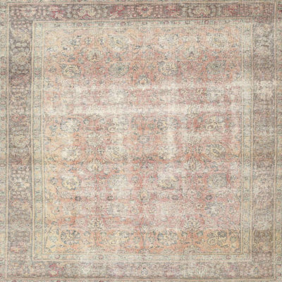 Oriental Indoor Rug