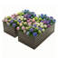 Doublez les lits, doublez la récolte! Ensemble de lit de jardin surélevé galvanisé 8 x 4 x 2 pi - Combinaison extérieure durable pour légumes, fleurs, herbes et fruits