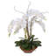 Real Touch Phalaenopsis Silk Orchid Floral Arrangement with Curly Willow