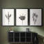 Encre botanique croquis II-457479930-457479932