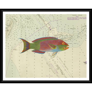 A design from a Victorian era can label for Salmon from the