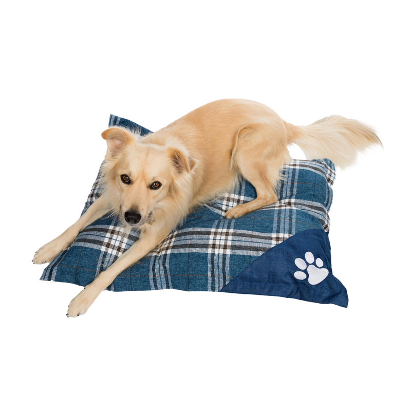Coussin Safire