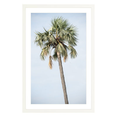 Plants & Flowers Print