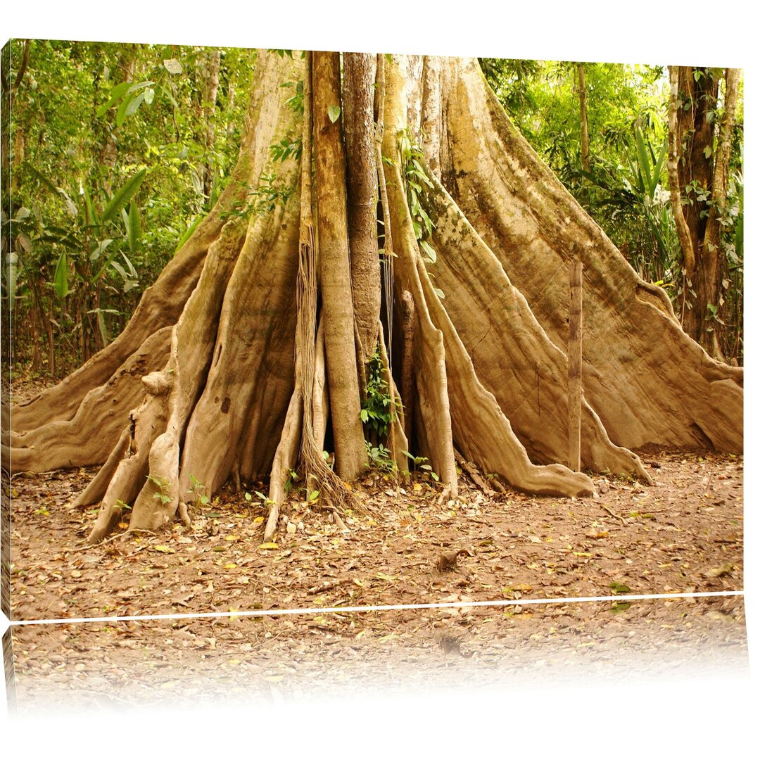 Leinwandbild Mächtiger Urwald Baum