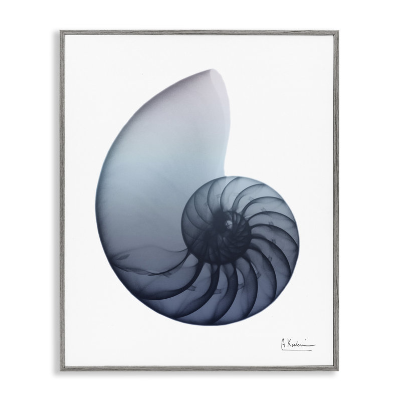 Highland Dunes, Nautilus contemporain, art de la giclée encadrée par Albert Koetsier, H 14 po x l 11 po x P 1,5 po