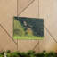 No Frame Print on Canvas-628834031