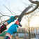 30FT Manual Pole Saw Tree Trimmers Long Handle Pruner Set