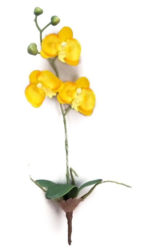 Arrangement floral orchidées, Jaune foncé