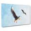 Pair Of Flying Seagulls - Wrapped Canvas-56632536