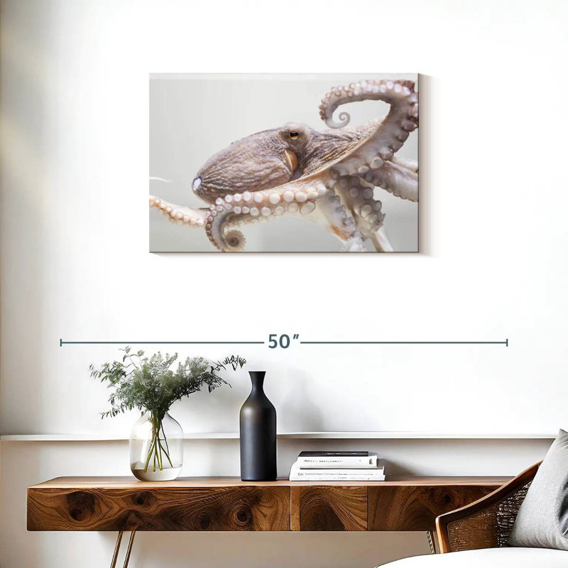 Pieuvre d'aquarium