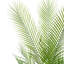 Annegreet Faux Plant-217959864