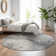 Premium Machine Washable Prisco Gray Rug