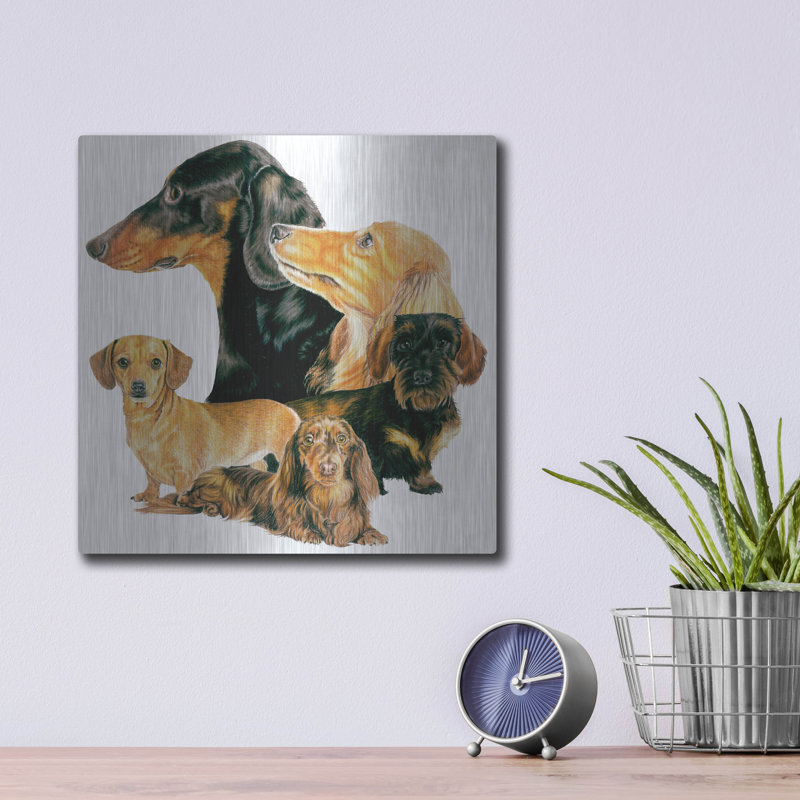 «Dachshund 2» par Barbara Keith, H 12 po x l 12 po