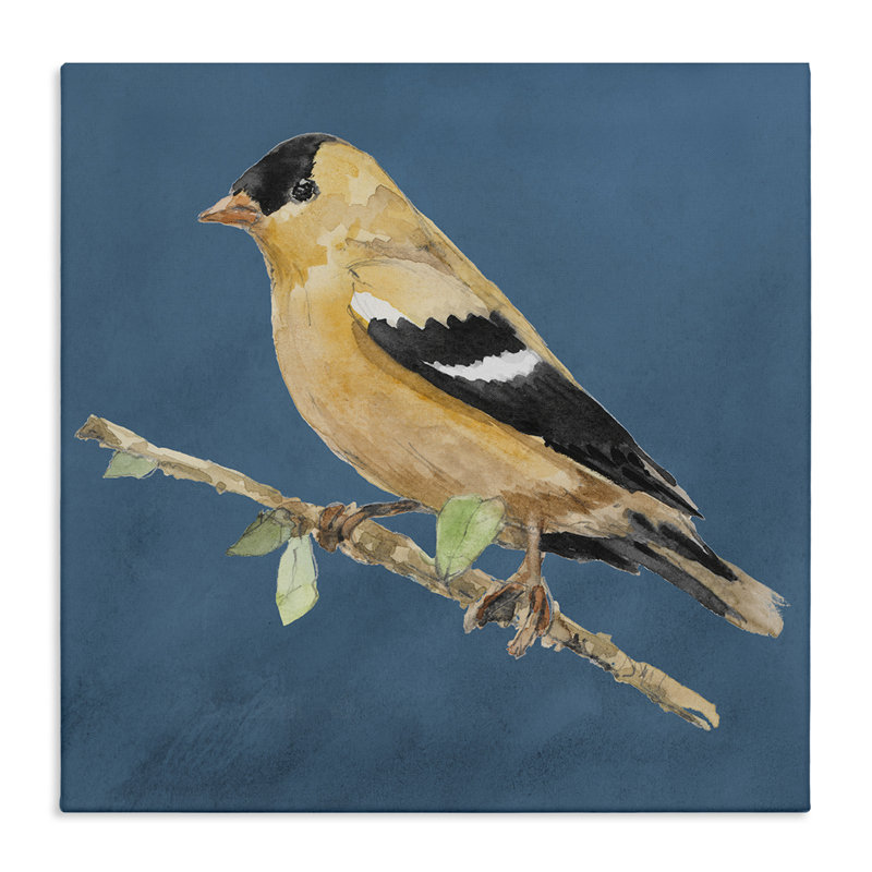 Art traditionnel sur toile, oiseau jaune traditionnel par Lanie Loreth, H 36 po x l 36 po