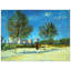Vincent Van Gogh - Wrapped Canvas Painting-21213144