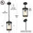 Maliae 1-Light Outdoor Hanging Pendant Light