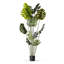 Arbre Monstera artificiel en pot de chambre de bébé-559287230