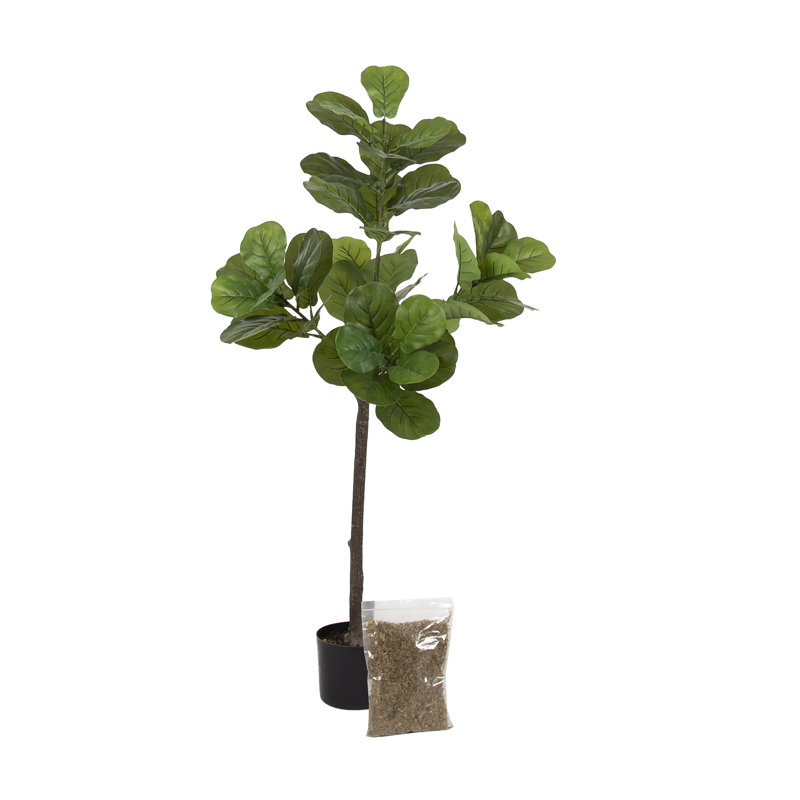 Figuier en figuier avec pot Portell, Brun, H 70,87 po x l 19,69 po x P 27,56 po