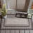 Hance Performance Solid Color Indoor/Outdoor Area Rug-1490567159