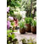 Plant Pot-72816955-72816962