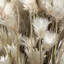 Centre de table naturel Vickerman