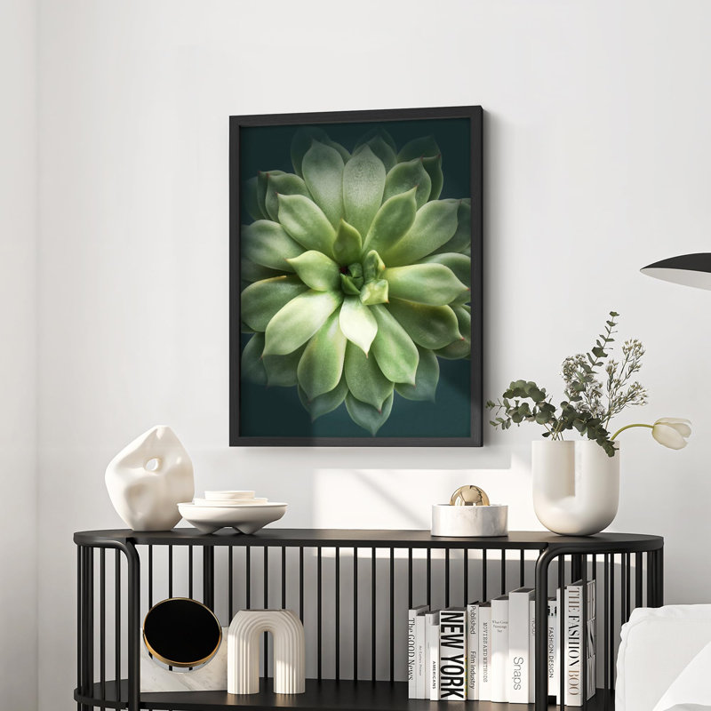 Petit vert riche, Echeveria, plante grasse, tranquillité, Illustration de la nature, petite œuvre d'art, Naturel