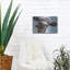 «Cow Cow 2» par Carolee Vitaletti-101656565