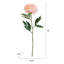 Éléments, pivoines artificielles, 6 pièces, 18 po