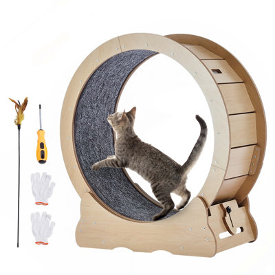 Cat Exercise Wheel Large Cat Treadmill Wheel for Indoor Cats