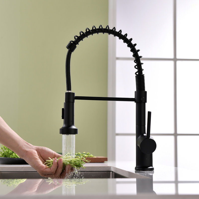 Robinet de cuisine commercial noir avec douchette rétractable, robinet d'évier de cuisine à poignée simple, Noir