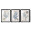 Varech I - impression encadrée sur mesure de qualité supérieure - 3 pièces-1481341361-1481341367