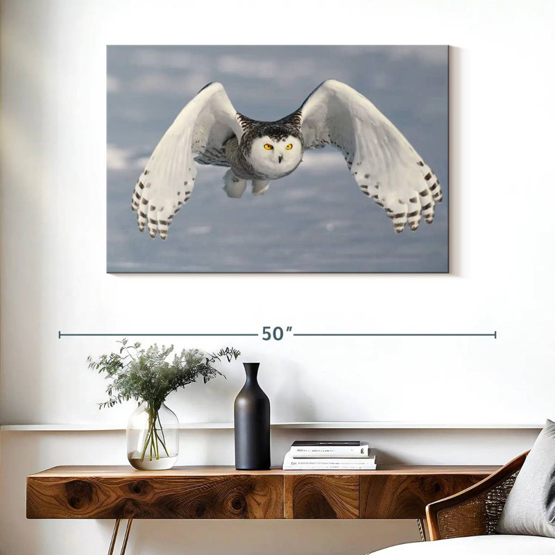 Brampt Owl In Winter, 26" H x 39" W