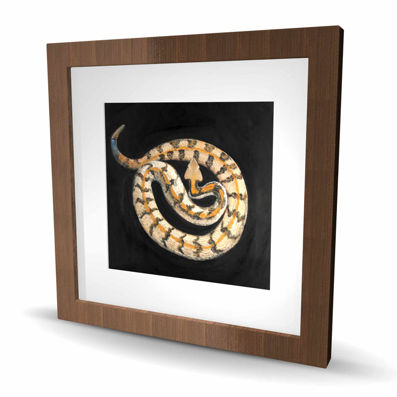 Southern Timber Rattlesnake - Modern Wildlife, reproduction encadrée, H 16 po x l 16 po