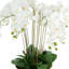Orchid Arrangement in Round Metal Vase