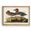 Vert sarcelle ailé - reproduction d'art sur toile-702171525-702171526