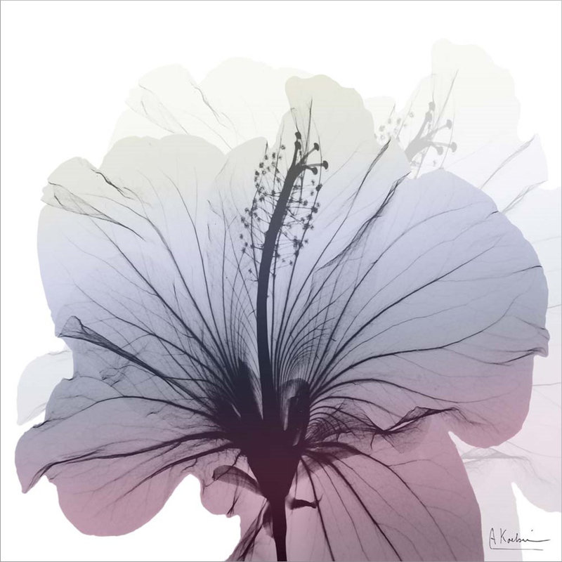 Décoration murale hibiscus