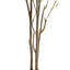 Faux Bonsai Tree in Pot-760590337