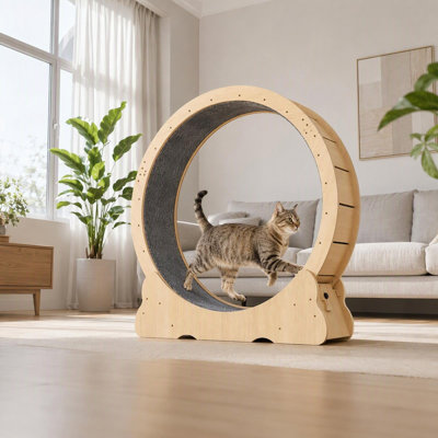 Roue d'exercice pour chat, grande roue de course pour chats d'intérieur, tapis roulant silencieux avec tapis amovible, cadre en bois robuste pour la marche, l'exercice et l'entraînement
