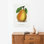 «Duchess D'angouleme Pear», art mural rétro rétro