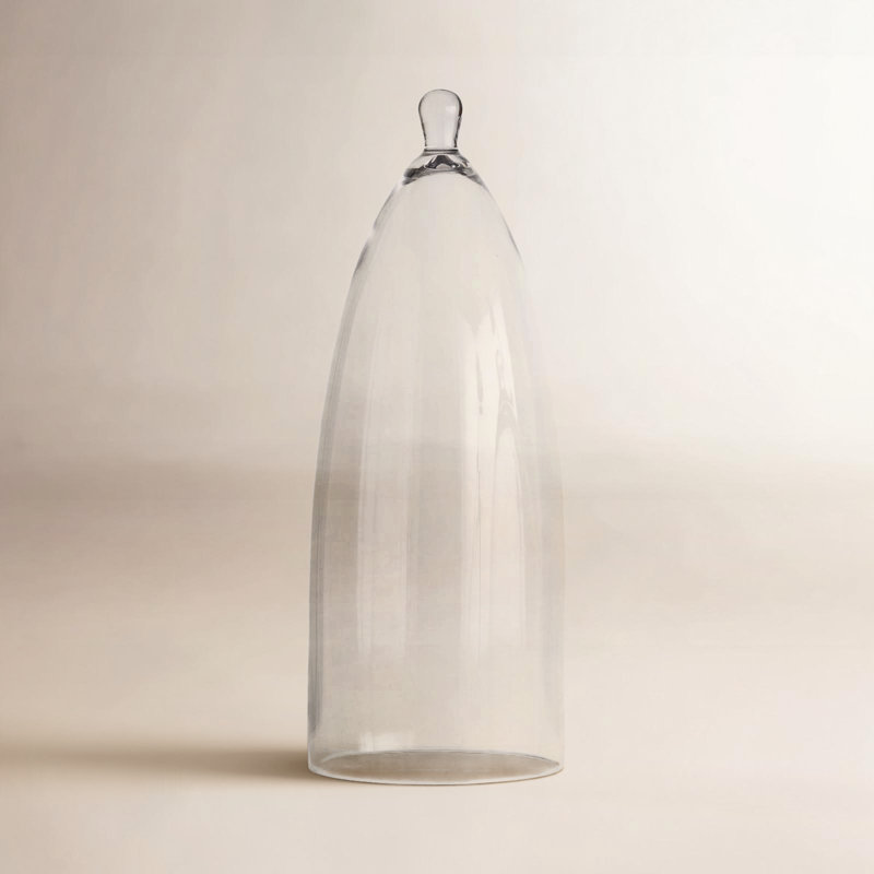  Cloche, Transparent