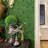 20'' H x 20'' W Green Polyethylene Fencing