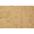 Everett Hand Knotted Wool Oriental Rug