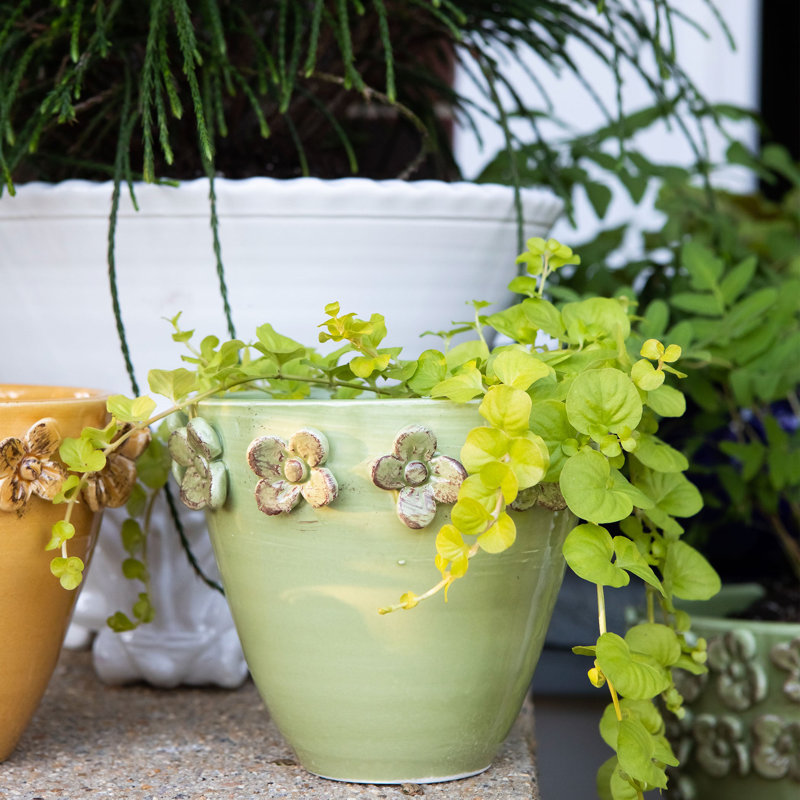 Rustic Garden Medium Cachepot, Pistachio, 5" H x 6.25" W x 6.25" D