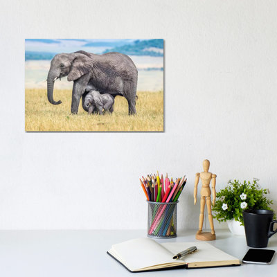 A Wee One by Jeffrey C. Sink - Wrapped Canvas Print