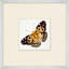 Miniature Butterfly Collection 2 Print