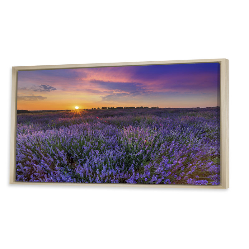 Lavender Field Sunset Landscape II - photographie sur toile, H 16 po x l 32 po x P 1 po, Cadre brun
