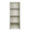Izzie 121.4 cm H x 51 cm W Boat Bookcase-35371990